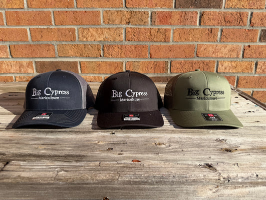 Big Cypress Trucker